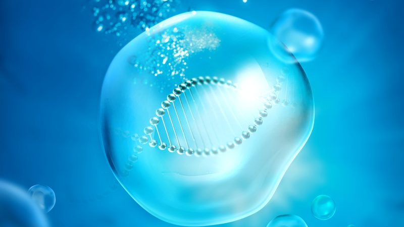 实验室常用分子生物学试剂分类与选择要点