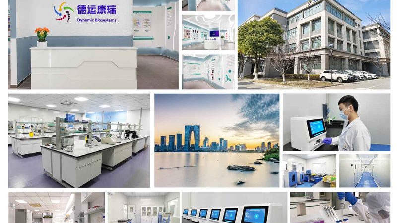 科研耗材报价清单表格：如何解读与选择**