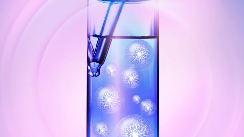 动物细胞培养：揭秘高效、精准的步骤与流程**