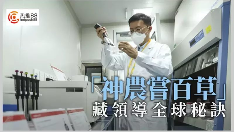 CDMO企业排名：揭秘制药外包背后的关键因素