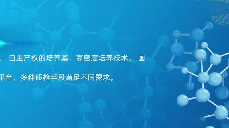化学发光抗体检测试剂盒：揭秘其背后的技术奥秘**