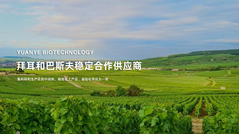 宠物疫苗抗体检测试剂盒：如何正确使用，保障宠物健康**