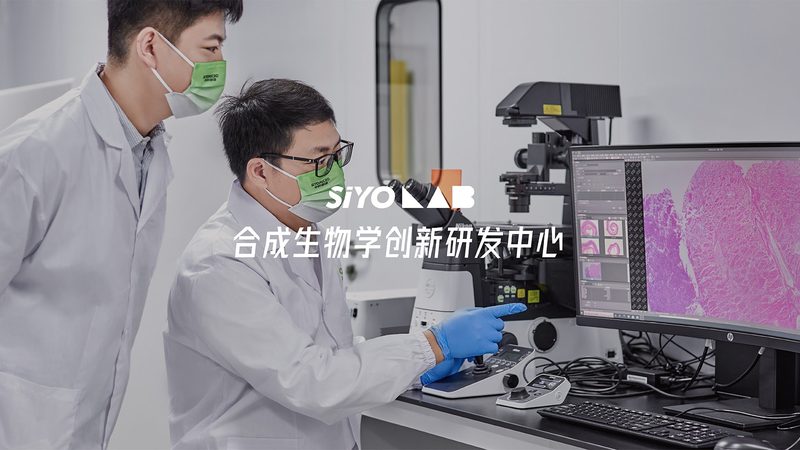 PCR检测：科研领域不可或缺的“探针