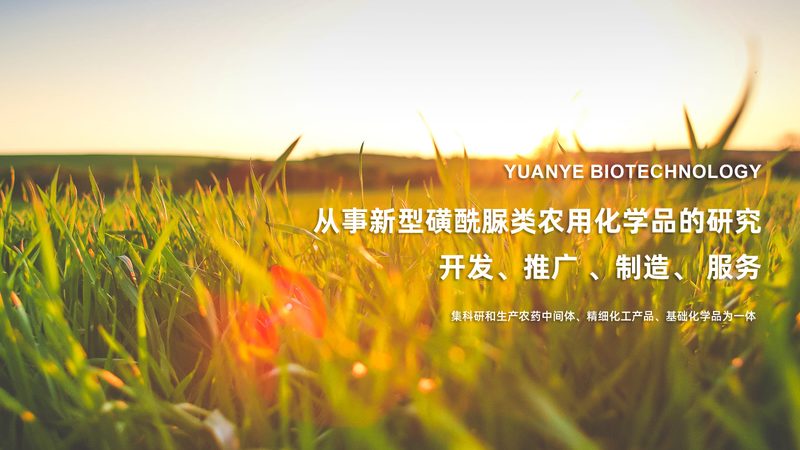 CRo优化团队：如何打造高效服务流程