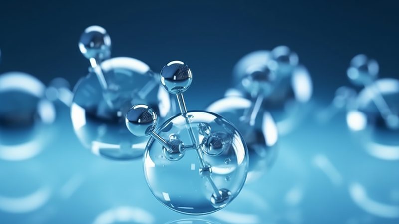 生物科技定制服务：价格背后的考量因素**