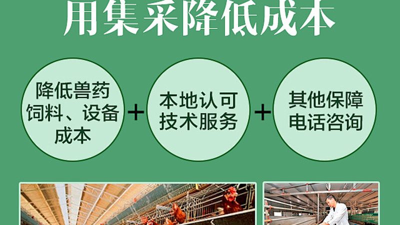 低蛋白无血清培养基：细胞培养的纯净之选**