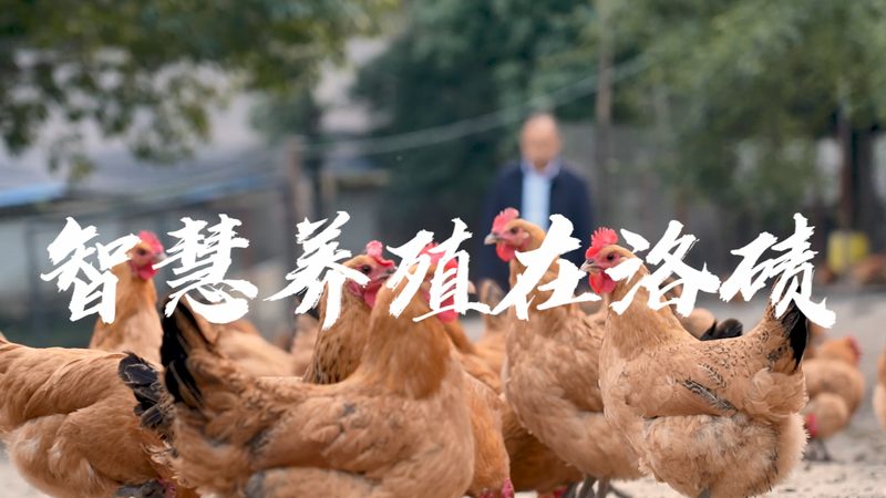 CDMO客户选择：揭秘医药研发背后的关键因素